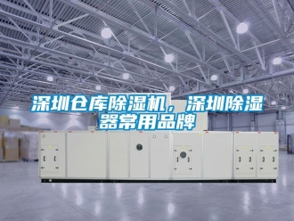 企業新聞深圳倉庫除濕機，深圳除濕器常用品牌