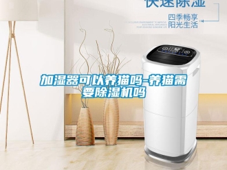 行業新聞加濕器可以養貓嗎-養貓需要除濕機嗎