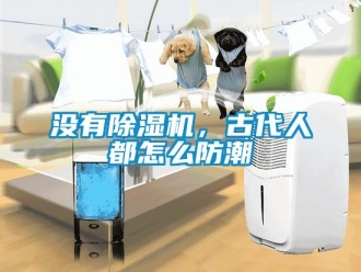 常見問題沒有除濕機，古代人都怎么防潮