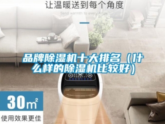 企業(yè)新聞品牌除濕機十大排名（什么樣的除濕機比較好）