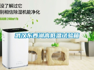 常見問題武漢東西湖高低溫試驗箱