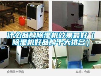 企業新聞什么品牌除濕機效果最好（除濕機好品牌十大排名）