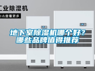 企業(yè)新聞地下室除濕機(jī)哪個好？哪些品牌值得推薦