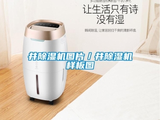 行業新聞井除濕機圖片／井除濕機樣板圖