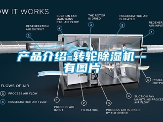 常見問題產品介紹-轉輪除濕機--有圖片