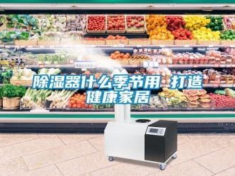 行業新聞除濕器什么季節用 打造健康家居