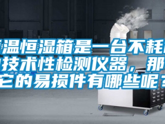 知識百科恒溫恒濕箱是一臺不耗材的技術性檢測儀器，那么它的易損件有哪些呢？