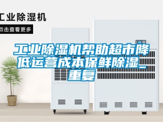 常見問題工業(yè)除濕機幫助超市降低運營成本保鮮除濕_重復(fù)