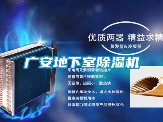 行業(yè)新聞廣安地下室除濕機(jī)