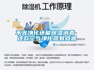 企業新聞不光凈化還能除濕消毒 這款空氣凈化器有點狠