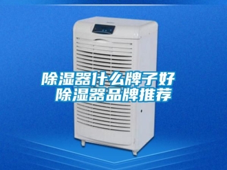 行業新聞除濕器什么牌子好 除濕器品牌推薦