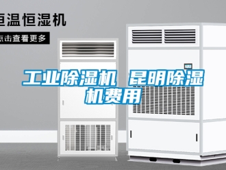 常見(jiàn)問(wèn)題工業(yè)除濕機(jī) 昆明除濕機(jī)費(fèi)用