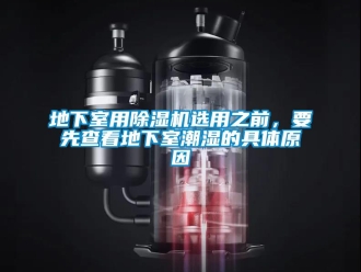 行業(yè)新聞地下室用除濕機(jī)選用之前，要先查看地下室潮濕的具體原因