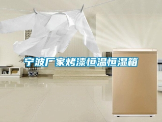 知識百科寧波廠家烤漆恒溫恒濕箱