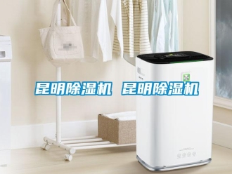 行業新聞昆明除濕機 昆明除濕機