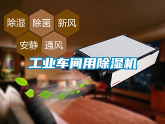 常見問題工業(yè)車間用除濕機