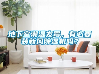 常見問題地下室潮濕發霉，有必要裝新風除濕機嗎？
