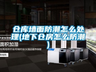 企業新聞倉庫墻面防潮怎么處理(地下倉房怎么防潮)