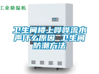 常見問題衛(wèi)生間樓上嘩嘩流水聲什么原因 衛(wèi)生間防潮方法