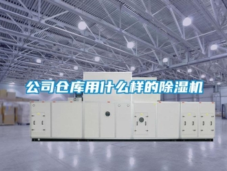 企業新聞公司倉庫用什么樣的除濕機