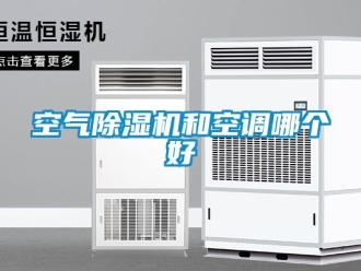 行業新聞空氣除濕機和空調哪個好