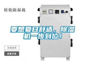 知識百科要想夏日舒適，除濕機一步到位！