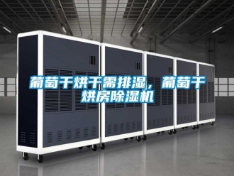 行業(yè)新聞葡萄干烘干需排濕，葡萄干烘房除濕機(jī)