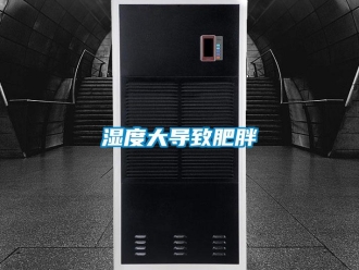 知識百科濕度大導(dǎo)致肥胖