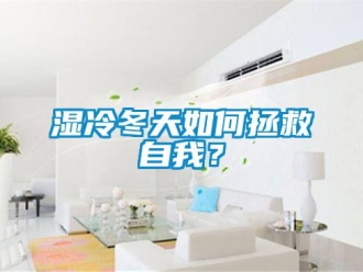 常見問題濕冷冬天如何拯救自我？