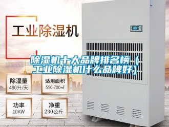 常見問題除濕機十大品牌排名榜（工業除濕機什么品牌好）