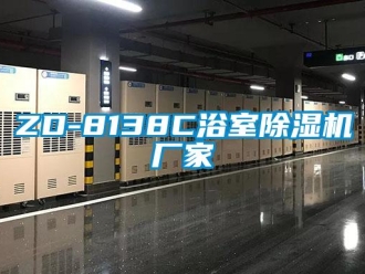 企業(yè)新聞ZD-8138C浴室除濕機(jī)廠家