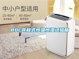 常見問題80L可程式恒溫恒濕試驗箱