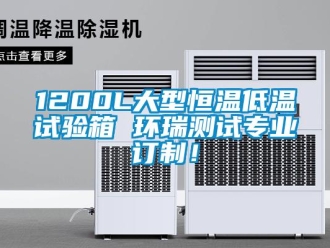 常見問題1200L大型恒溫低溫試驗箱 環瑞測試專業訂制！
