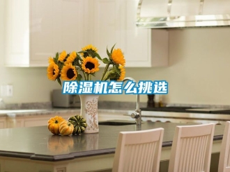 行業新聞除濕機怎么挑選