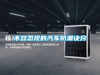 常見問題不容忽視的汽車防潮訣竅