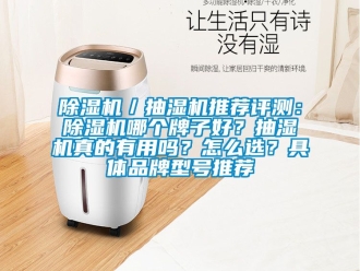 企業新聞除濕機／抽濕機推薦評測：除濕機哪個牌子好？抽濕機真的有用嗎？怎么選？具體品牌型號推薦