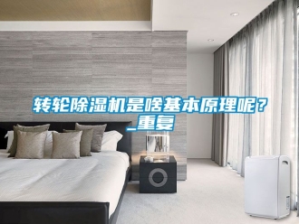 常見問題轉輪除濕機是啥基本原理呢？_重復