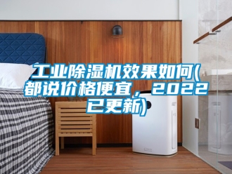 常見問題工業除濕機效果如何(都說價格便宜，2022已更新)