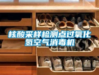 行業(yè)新聞核酸采樣檢測(cè)點(diǎn)過氧化氫空氣消毒機(jī)