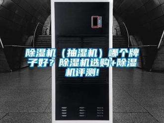 企業新聞除濕機（抽濕機）哪個牌子好？除濕機選購+除濕機評測!