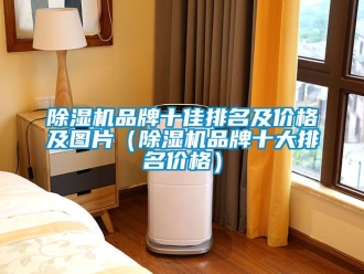 企業(yè)新聞除濕機(jī)品牌十佳排名及價(jià)格及圖片（除濕機(jī)品牌十大排名價(jià)格）