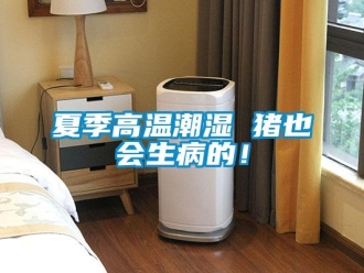 知識(shí)百科夏季高溫潮濕 豬也會(huì)生病的！