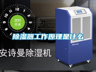 行業新聞除濕器工作原理是什么