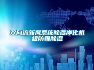 常見問題雙向流新風系統除濕凈化機組防霾除濕