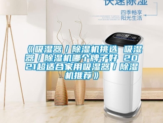 常見問題《吸濕器／除濕機挑選 吸濕器／除濕機哪個牌子好 2021超適合家用吸濕器／除濕機推薦》