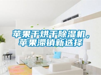行業(yè)新聞蘋果干烘干除濕機(jī)，蘋果滯銷新選擇