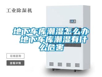 企業(yè)新聞地下車庫潮濕怎么辦 地下車庫潮濕有什么危害