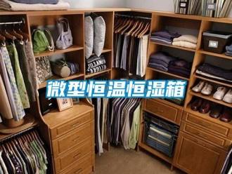 知識百科微型恒溫恒濕箱