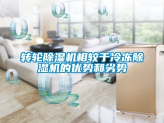 常見問題轉輪除濕機相較于冷凍除濕機的優勢和劣勢