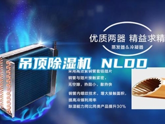 企業(yè)新聞吊頂除濕機(jī) NLDD